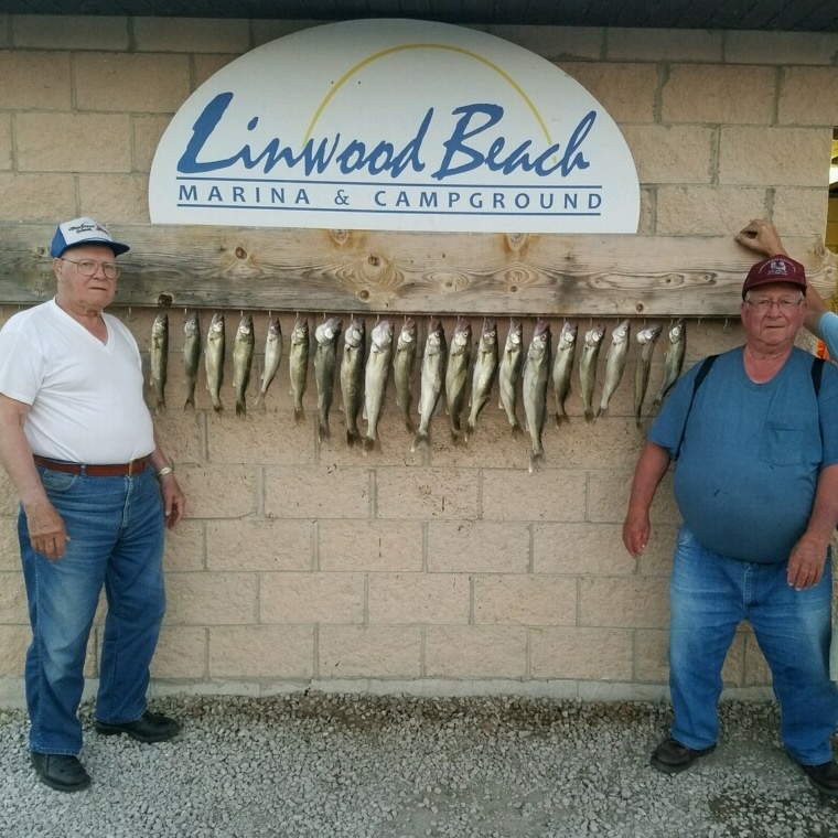 Walleye Catch at Linwood
